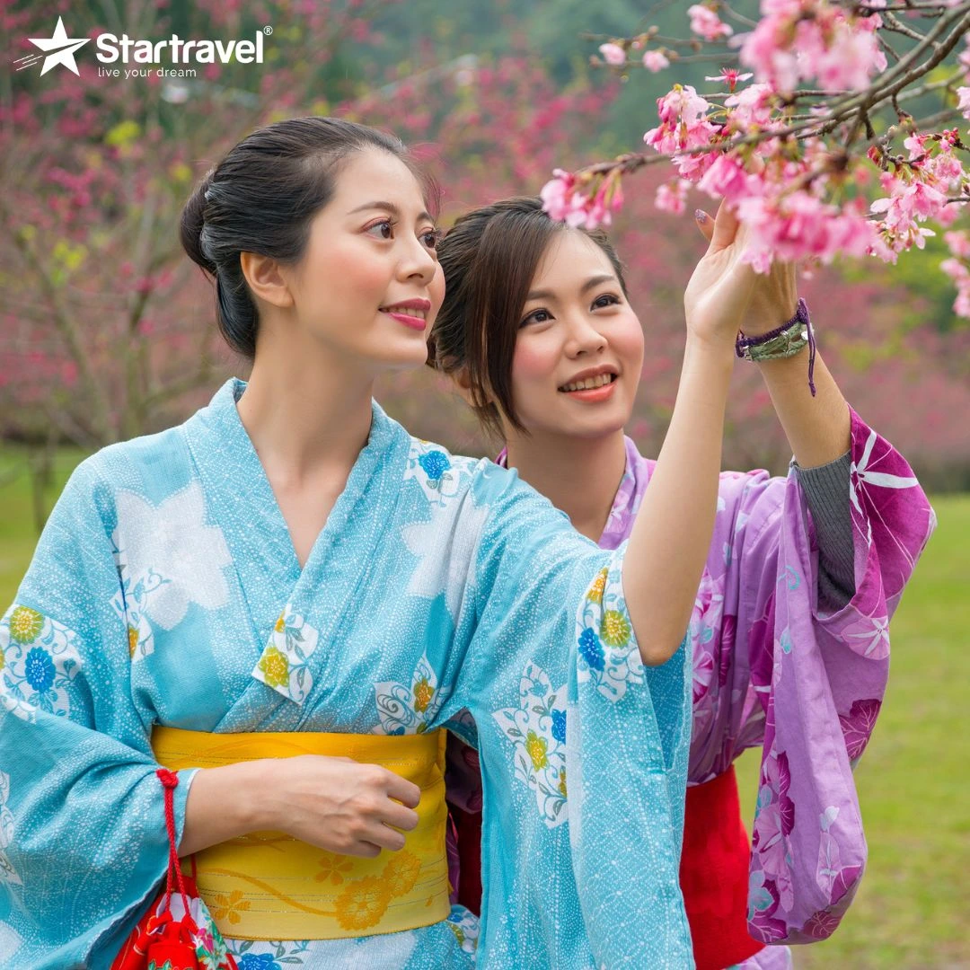 Tour du thuyền khám phá sắc hoa anh đào Trung Quốc - Nhật Bản