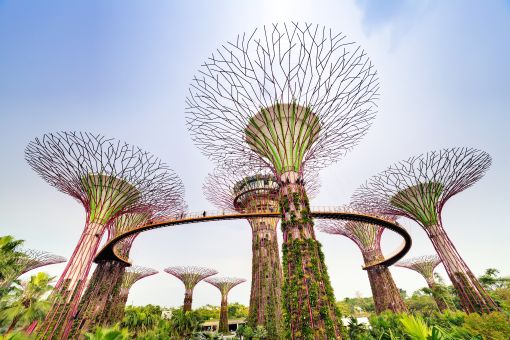 Ngày 1: Tp Hồ Chí Minh ✈ Singapore