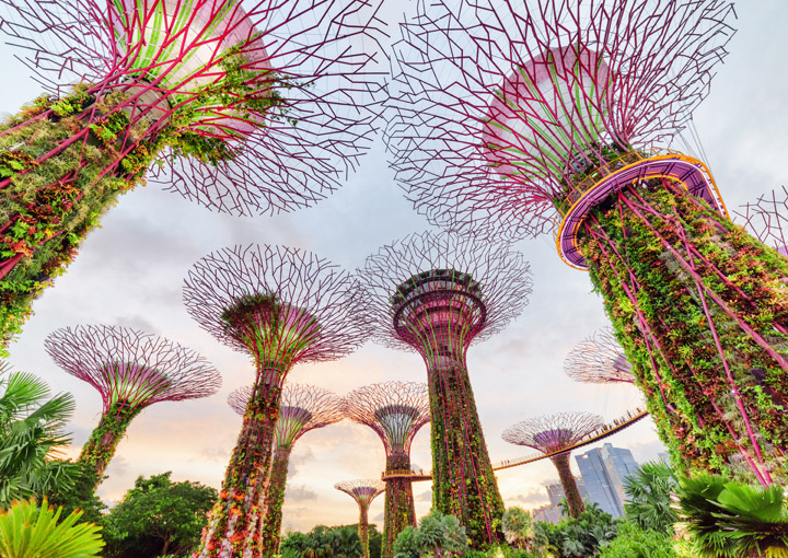 Ngày 03: Garden by the Bay 