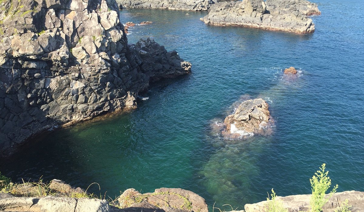 Ngày 2: Jeju (Seogwipo) – Trải nghiệm Jeju mùa hè (Family Summer Program)