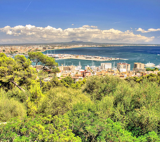 Ngày 3: Palma De Mallorca, Tây Ban Nha