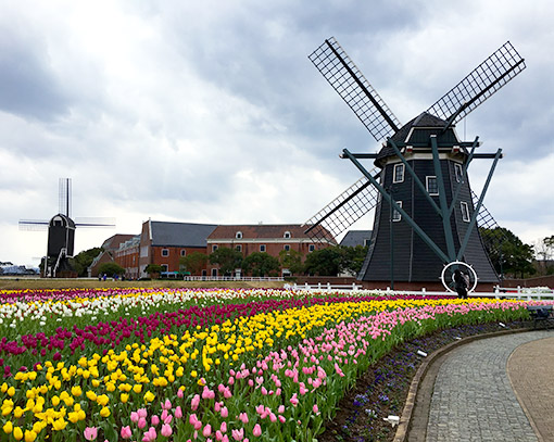 Ngày 04: Sasebo, Nhật Bản