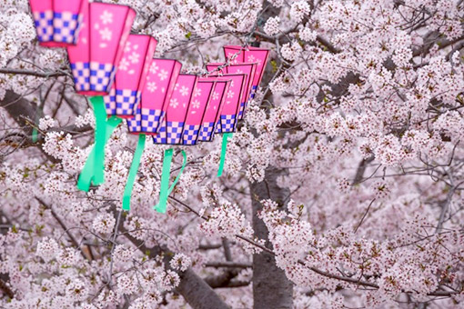 Ngày 4: Thành Phố Nagasaki, Nhật Bản