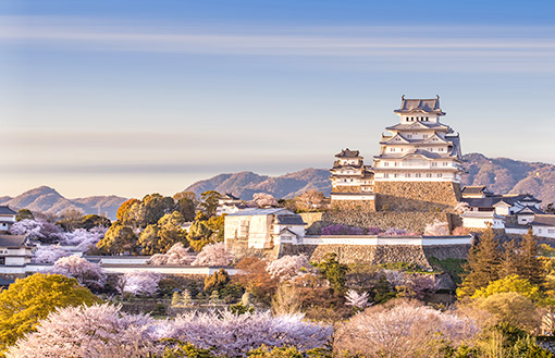 Ngày 5: Kobe, Osaka - Nhật Bản