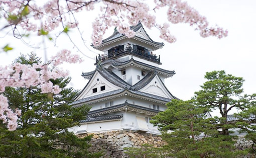 Ngày 05: Kochi, Nhật Bản