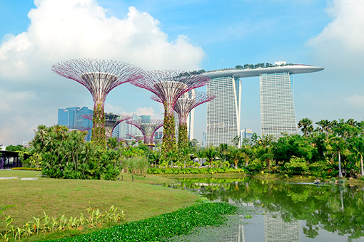 Ngày 05: Singapore - Hà Nội