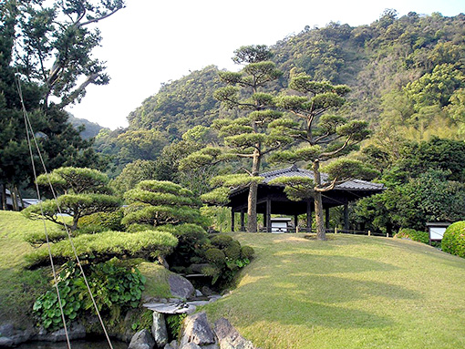 Ngày 04: Kagoshima, Nhật Bản