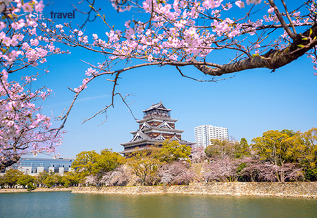 Mùa Hoa Anh Đào Nhật Bản