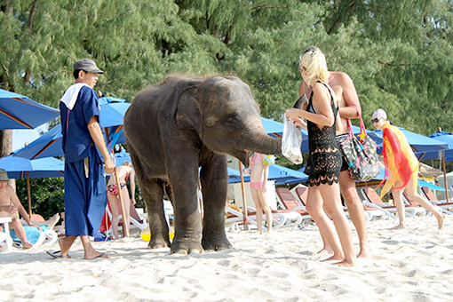 Ngày 03: Phuket, Thái Lan