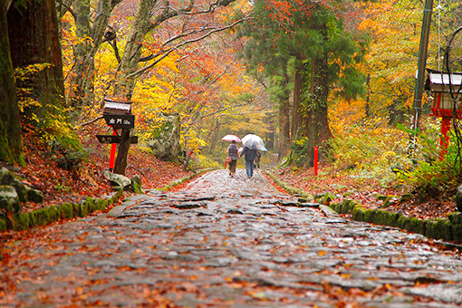 Ngày 04: Kagoshima, Nhật Bản