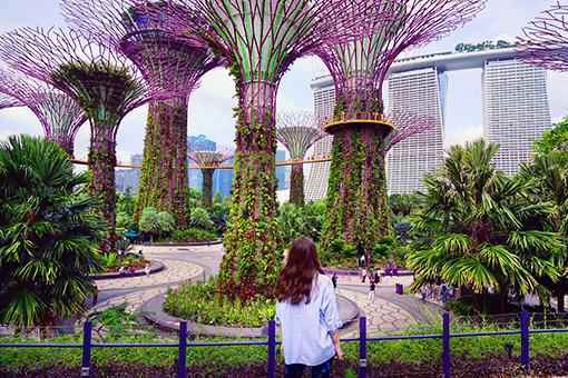 Ngày 5: Singapore - Hà Nội