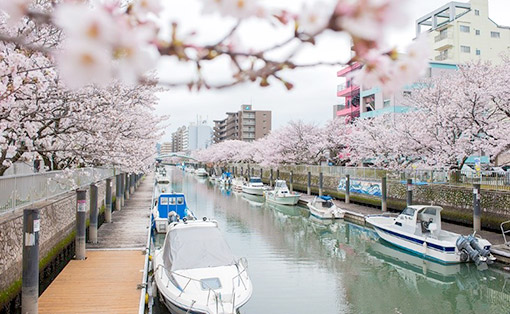 Ngày 05: Kumamoto, Nhật Bản