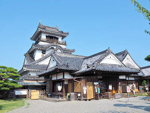 Ngày 05: Kochi, Nhật Bản