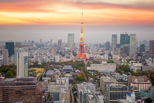 Ngày 6: Tokyo (Yokohama) - Nhật Bản
