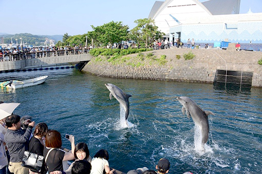 Ngày 04: Kagoshima, Nhật Bản