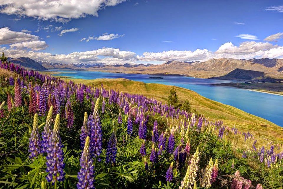 NGÀY 3: CHRISTCHURCH - QUEENSTOWN 