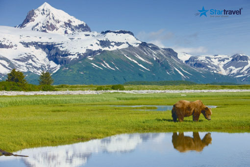 Ngày 6: Icy Strait Point, Alaska