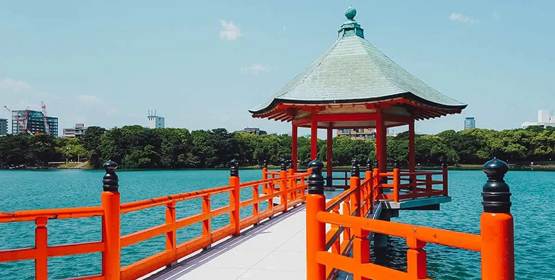 Ngày 4: Fukuoka – Nhật Bản (Mùa Hoa Tử Đằng & Trải Nghiệm Cuối Xuân Kyushu)