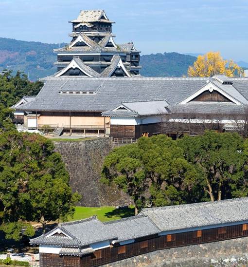 Ngày 5: Kumamoto – Nhật Bản (Trải nghiệm mùa cam Kyushu)