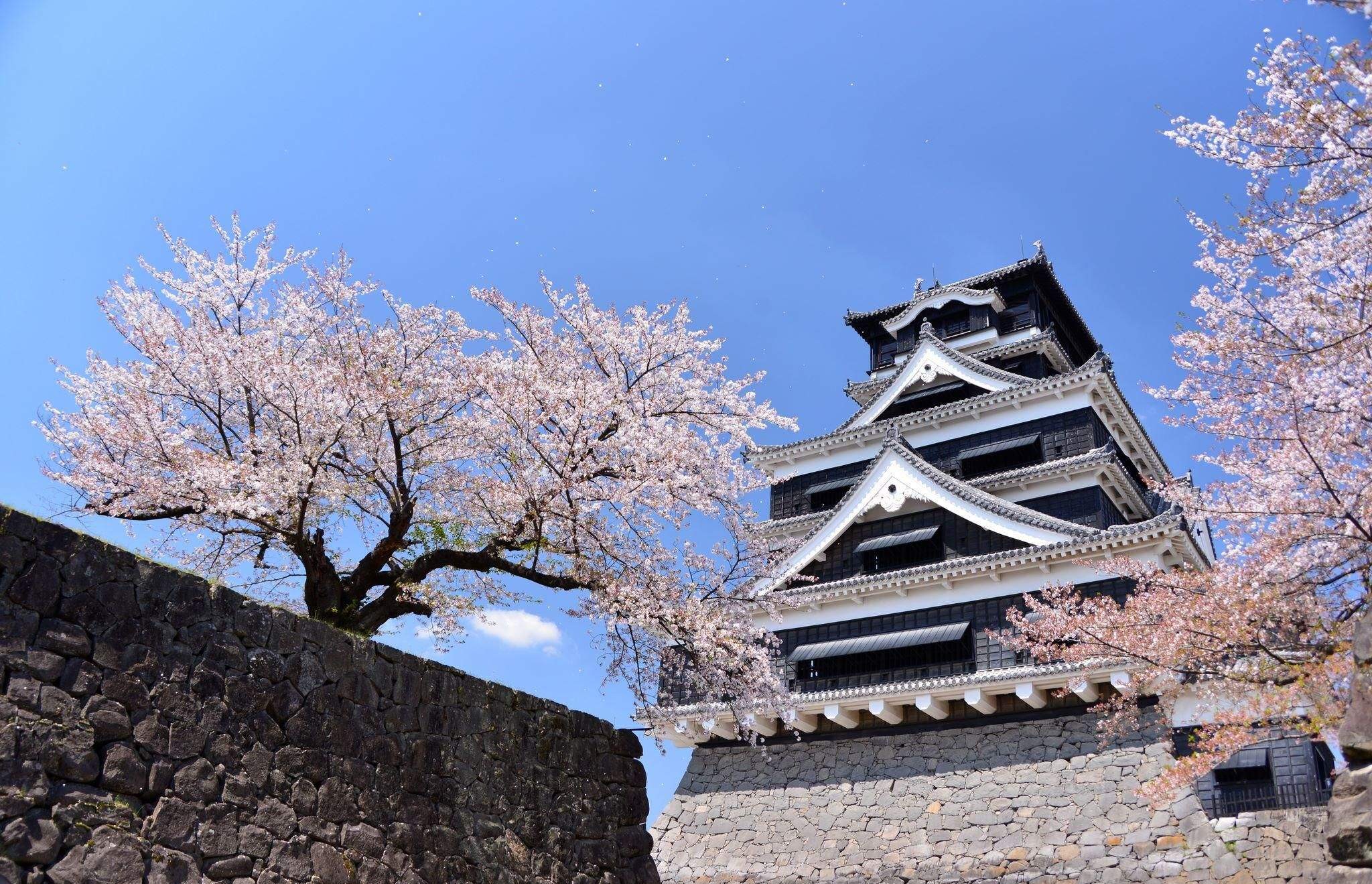 Ngày 4: Tham quan Kumamoto | Nhật Bản