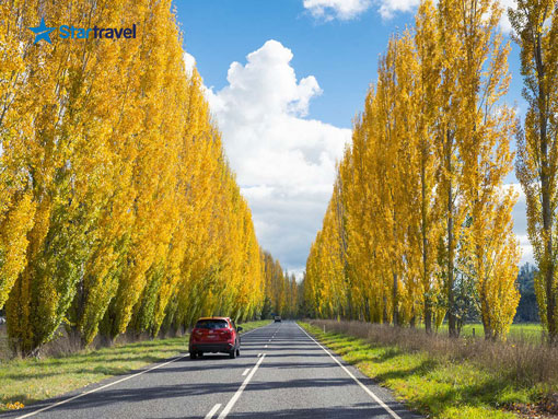 Ngày 3: Melbourne - Dandenong - Thung Lũng Yarra