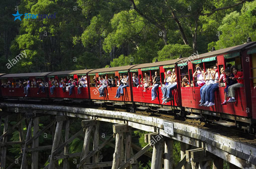Ngày 3: Melbourne - Dandenong - Thung Lũng Yarra