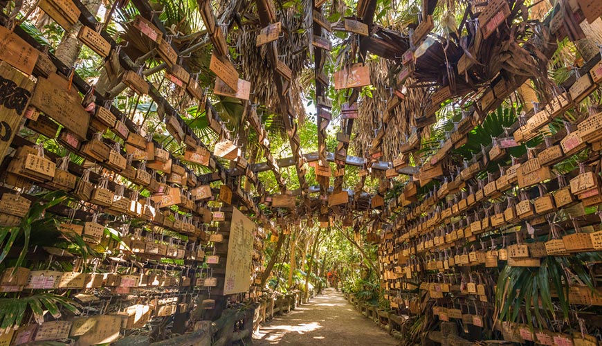 Ngày 05: Miyazaki, Nhật Bản