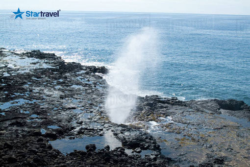 Ngày 7: Sydney - Wollongong - Vịnh Jarvis