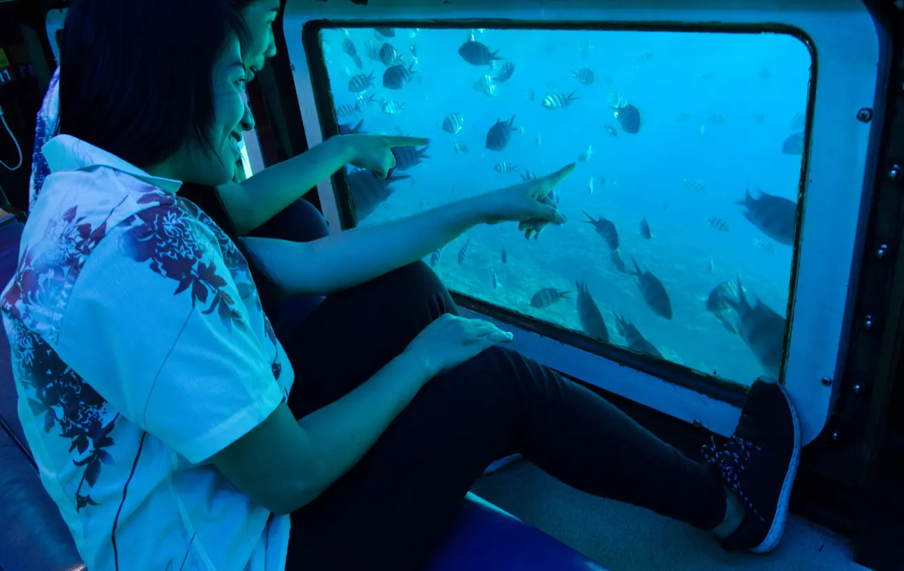 Ngày 4: Tham quan Okinawa | Nhật Bản