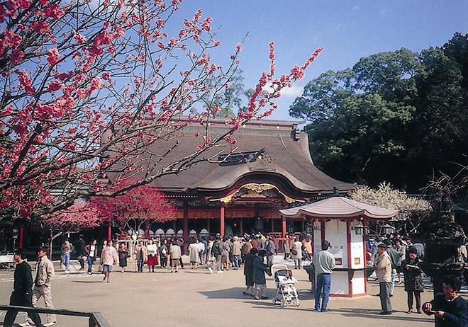 Ngày 4: Fukuoka, Nhật Bản