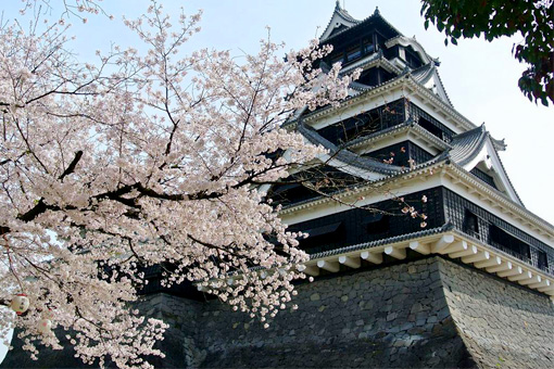 Ngày 05: Kumamoto, Nhật Bản
