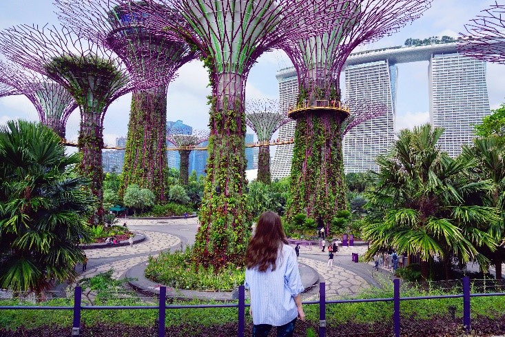 Ngày 04: SINGAPORE – HÀ NỘI