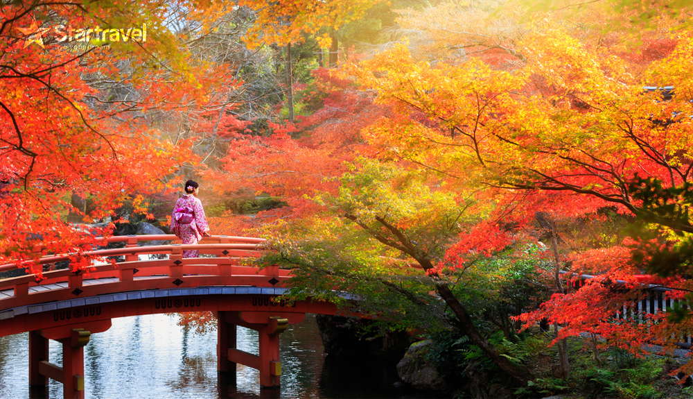 Nhật Bản mùa lá đỏ