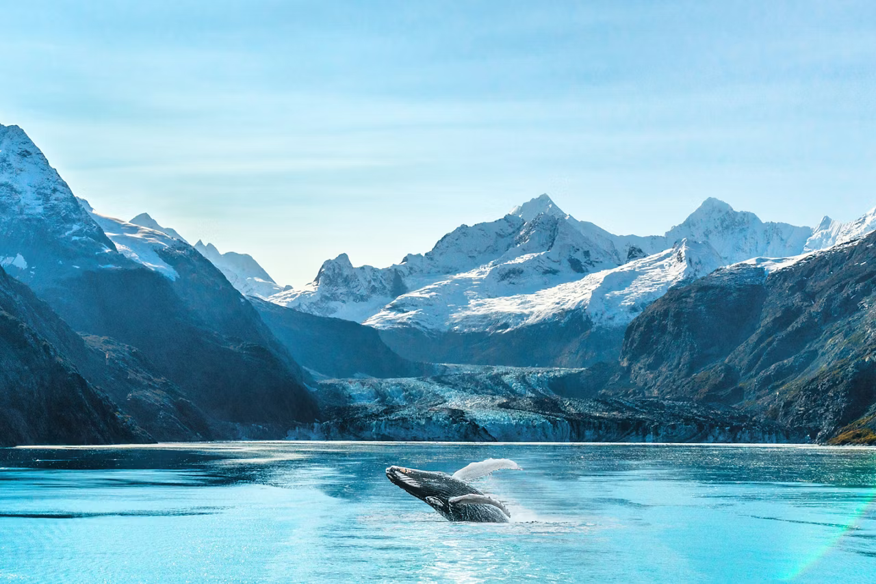 alaska 3