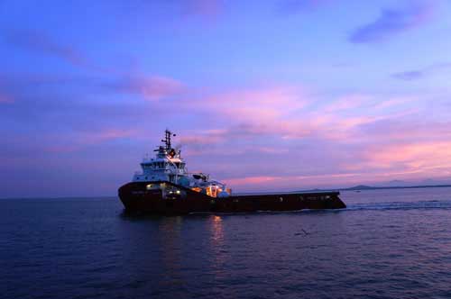 con-dao-hoang-so-7.jpg