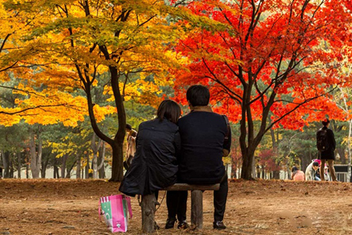 Co mot Seoul khong voi va