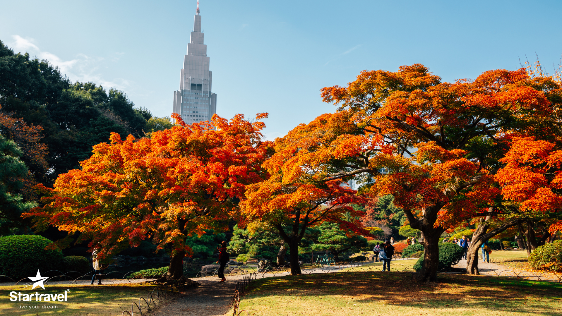 Kagoshima - Nhật Bản