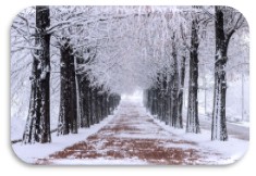 SEOUL – ĐẢO NAMI – NAM SAN