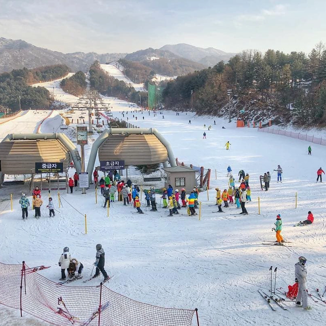 Khám phá Hàn Quốc Seoul - Đảo Nami - Lotte World - Trượt tuyết Elysian - Xông hơi Jimjibang