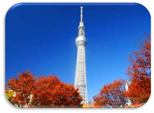 Narita – Tokyo | Ăn: 3 bữa
