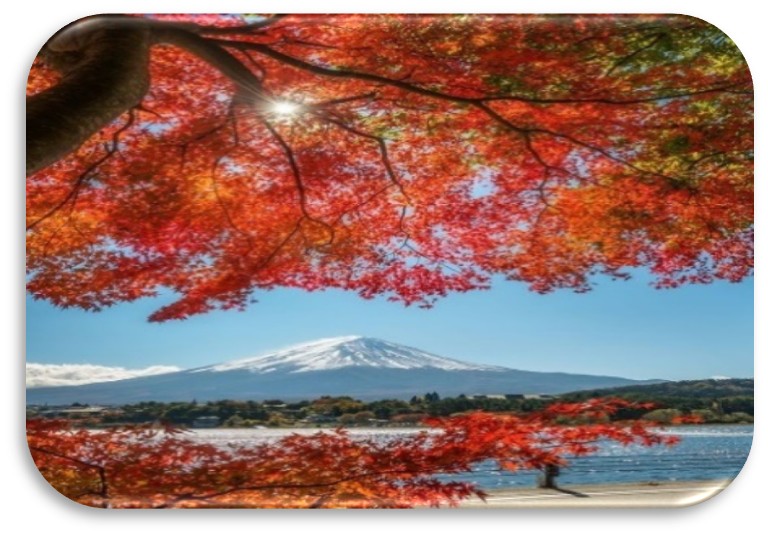 Tokyo – Phú Sỹ - Yamanashi | Ăn: 3 bữa