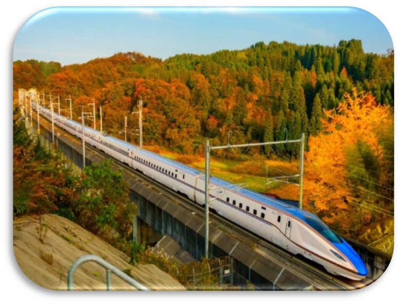 Cảng Yamanashi – Nagoya | Ăn: 3 bữa