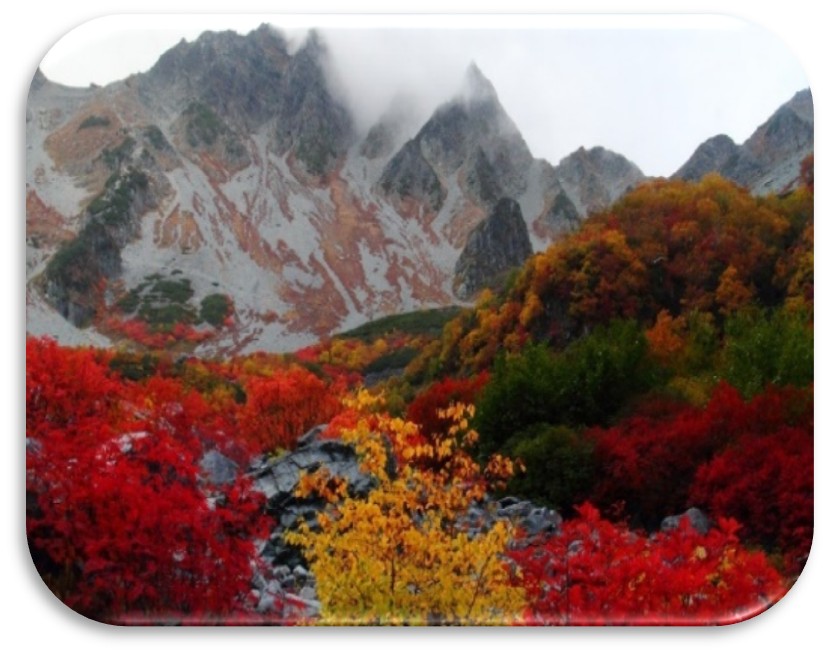 Cảng Yamanashi – Nagoya | Ăn: 3 bữa