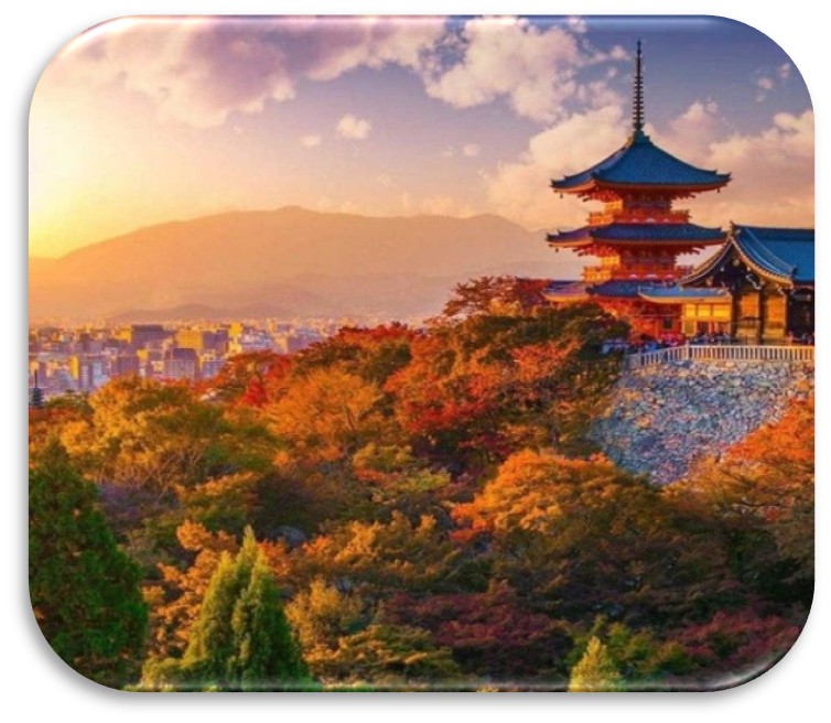 Nagoya – Kyoto – Osaka – Kansai | Ăn: 3 bữa