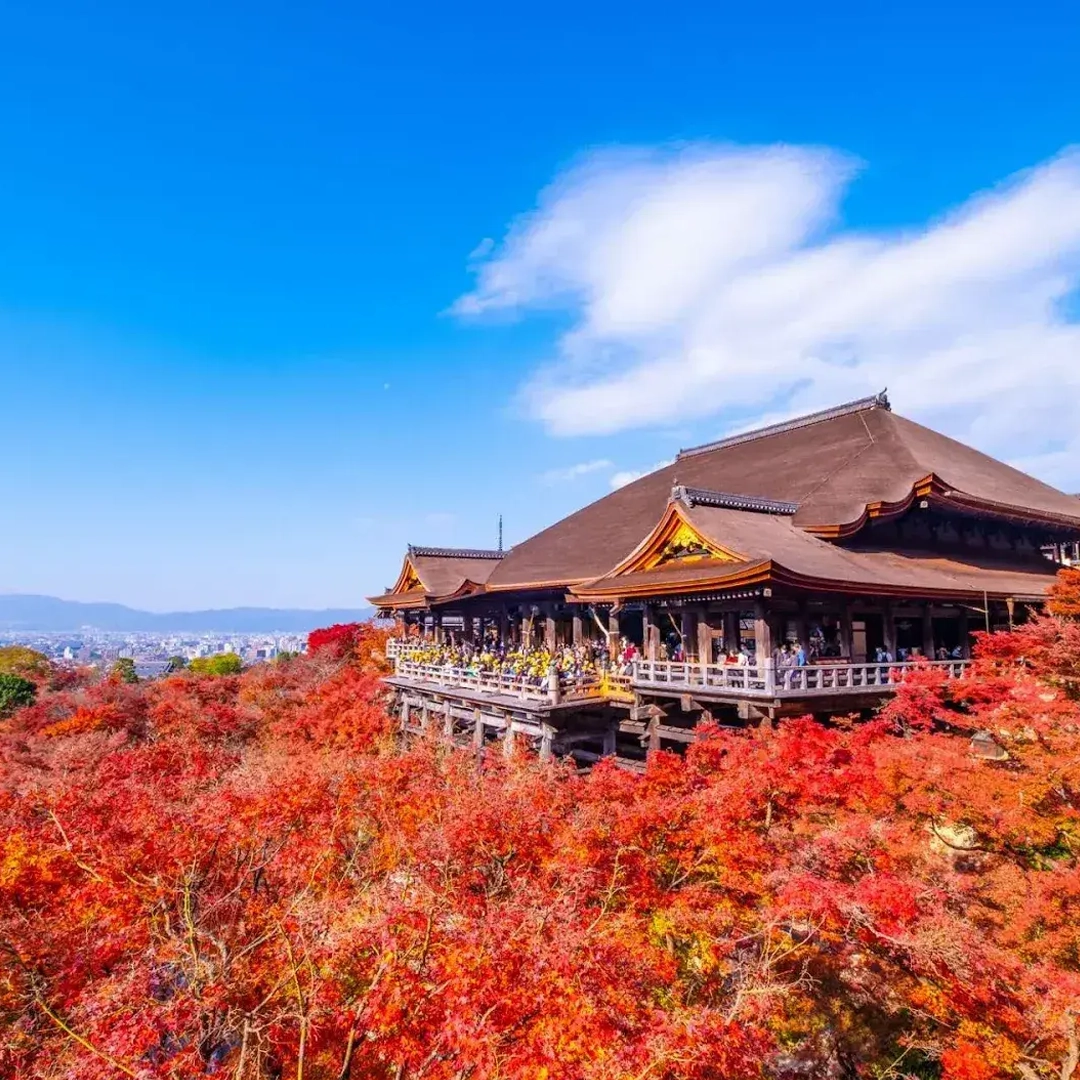 Du lịch Mùa Thu Nhật Bản tuyến Narita - Tokyo - Phú Sĩ - Kyoto - Osaka