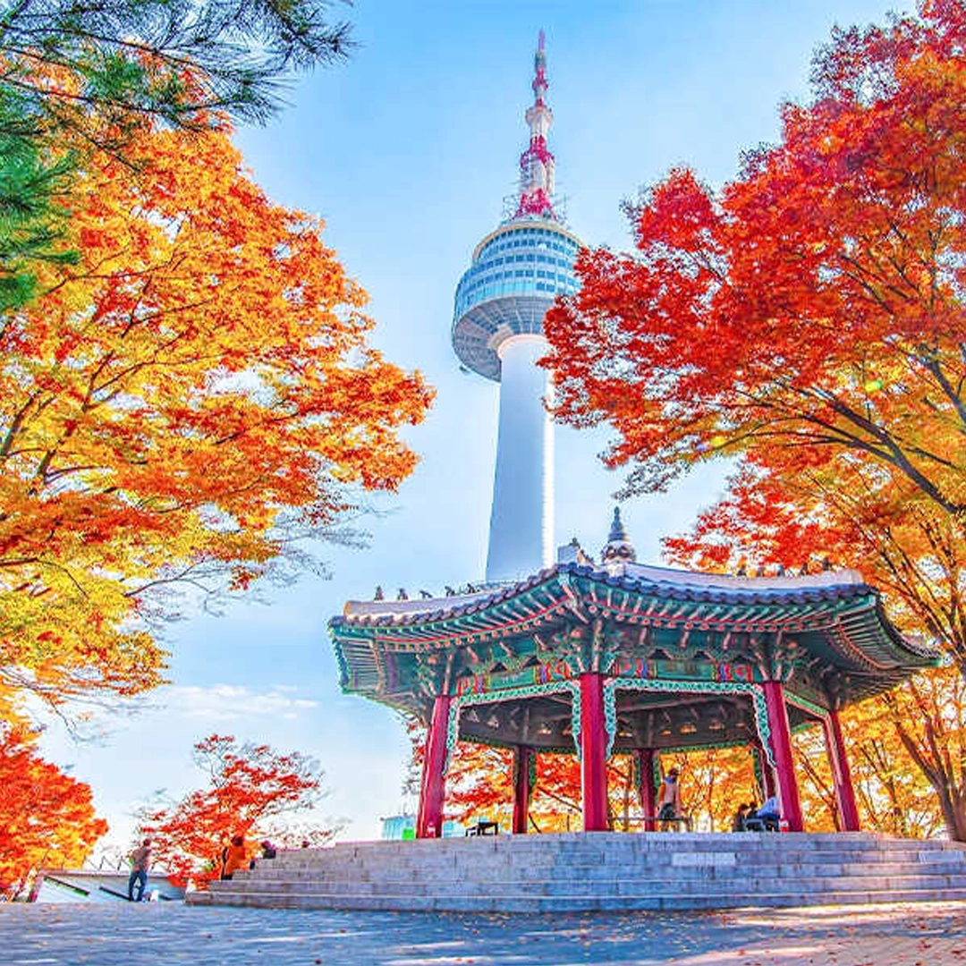 Khám phá Hàn Quốc Seoul - Đảo Nami - Everland - Trượt tuyết Elysian - Xông hơi Jimjibang