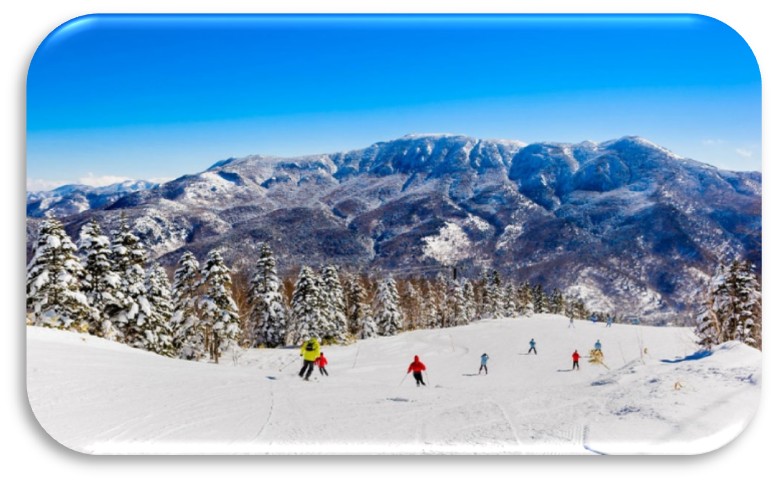 Tokyo – Phú Sỹ - Yamanashi | Ăn: 3 bữa