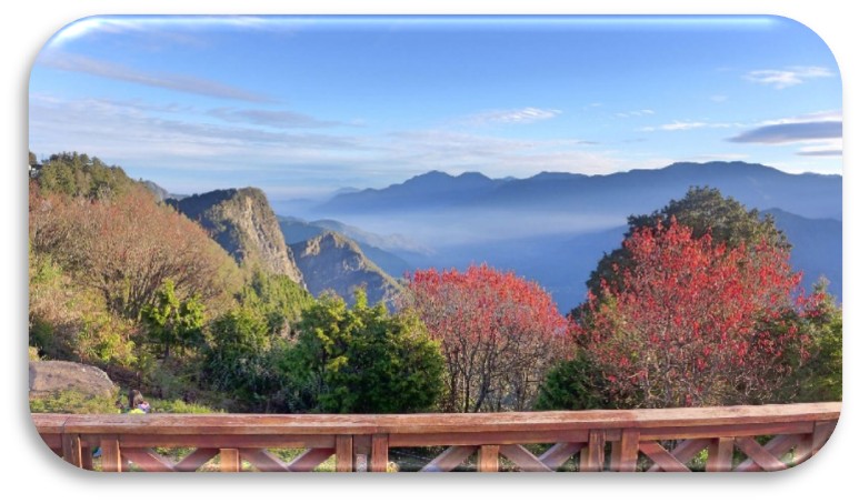 TP.HCM -  ĐÀI BẮC – GIA NGHĨA - ALISHAN