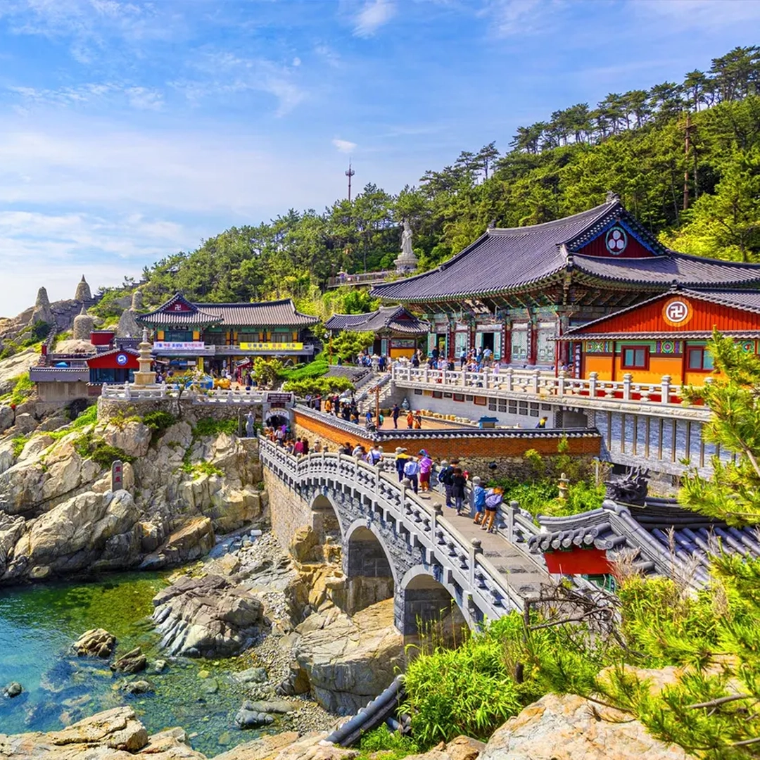 Một hành trình trọn vẹn: Thượng Hải - Du thuyền - Busan mùa hoa