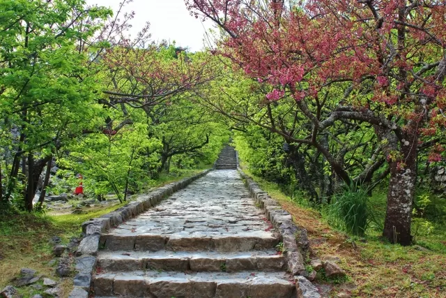Tham quan Okinawa | Nhật Bản